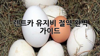 렌트카 유지비 절약 완벽 가이드!