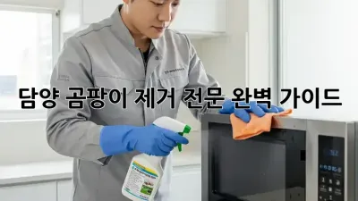 담양 곰팡이 제거 전문: 완벽 가이드